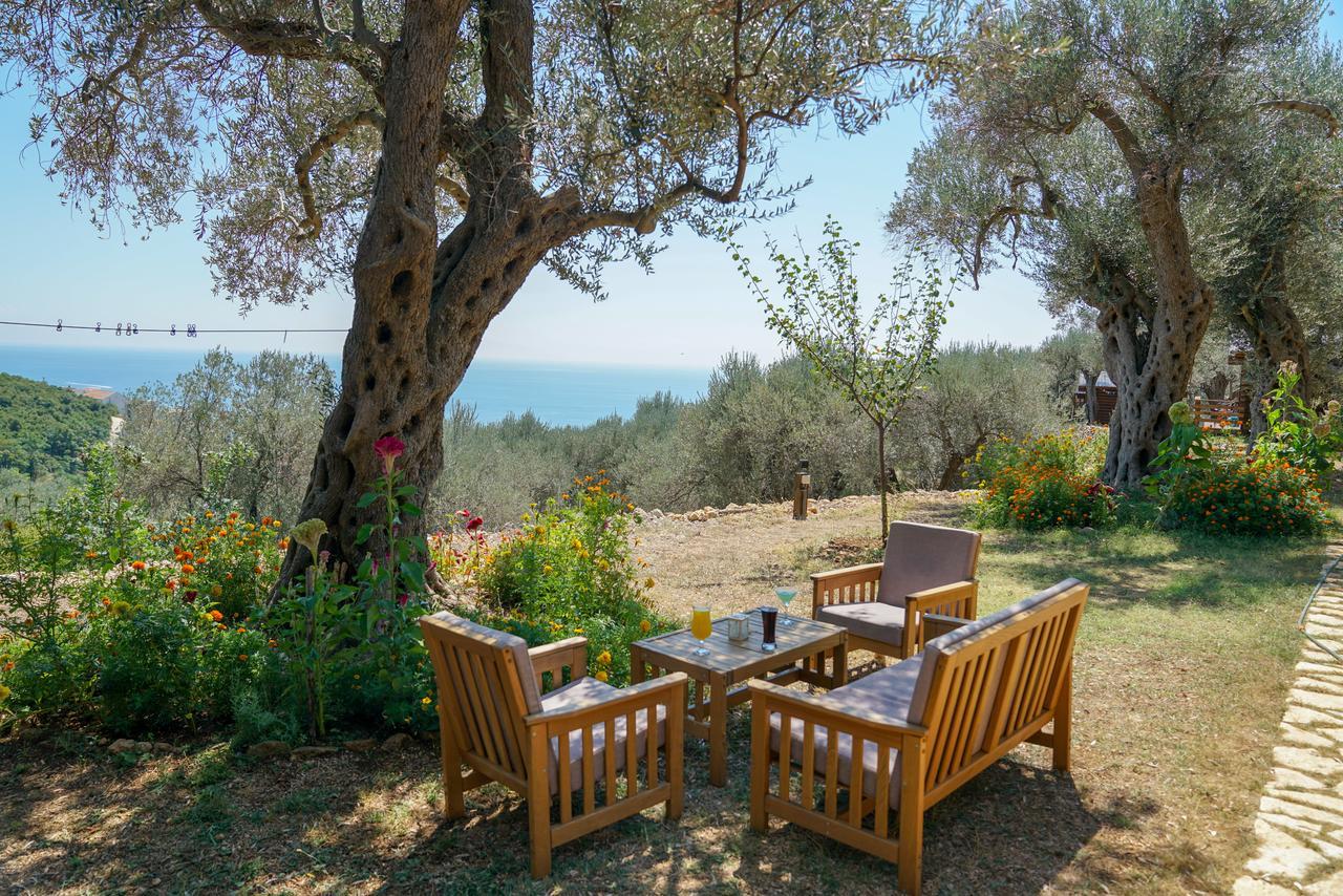 Holiday Park Olive Tree Ulcinj Exterior foto